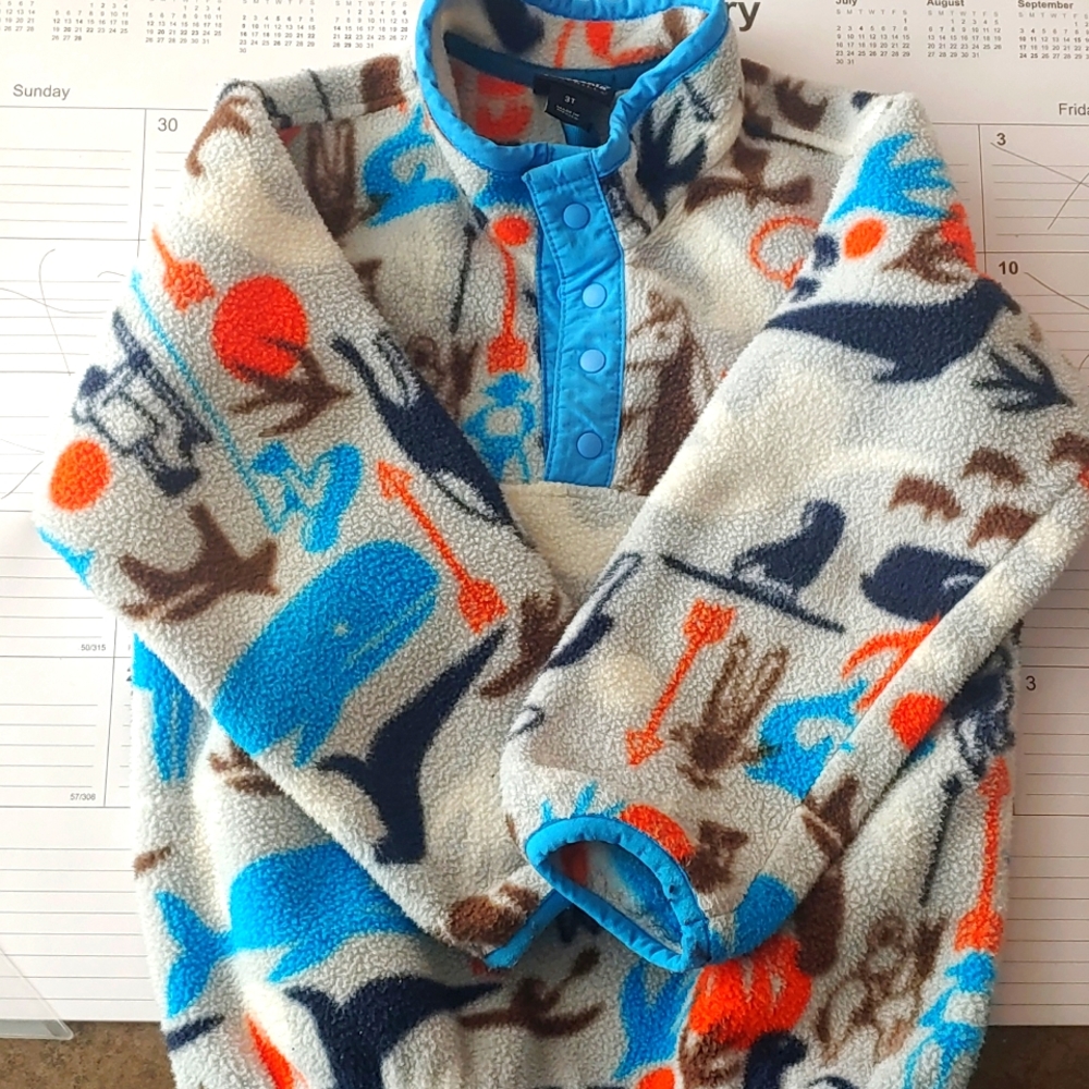 Toddler Synchilla Pullover